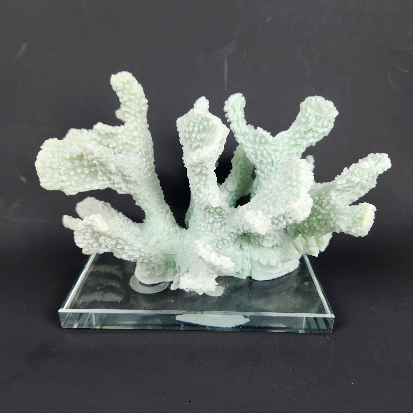 Seafoam Faux Coral Sculpture on Glass Base | Coastal Chic Decor