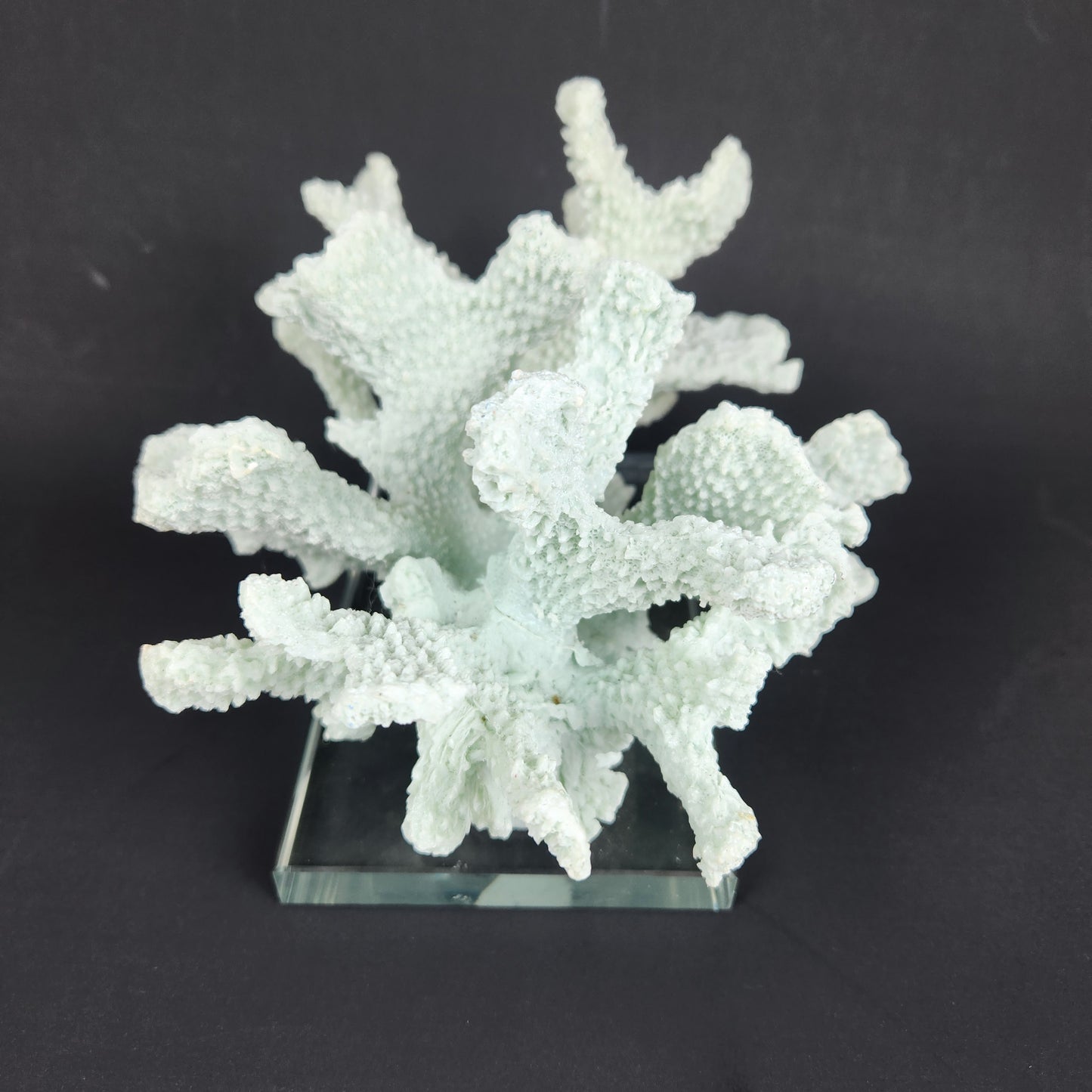 Seafoam Faux Coral Sculpture on Glass Base | Coastal Chic Decor