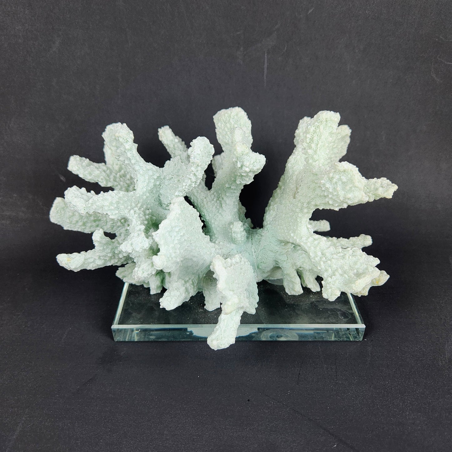 Seafoam Faux Coral Sculpture on Glass Base | Coastal Chic Decor